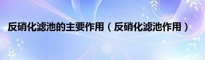 反硝化滤池的主要作用（反硝化滤池作用）