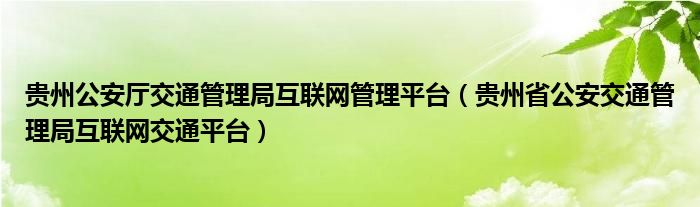 贵州公安厅交通管理局互联网管理平台（贵州省公安交通管理局互联网交通平台）