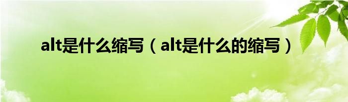 alt是什么缩写（alt是什么的缩写）