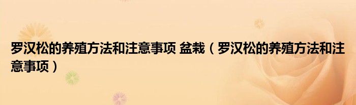 罗汉松的养殖方法和注意事项 盆栽（罗汉松的养殖方法和注意事项）