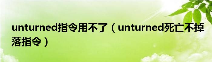 unturned指令用不了（unturned死亡不掉落指令）