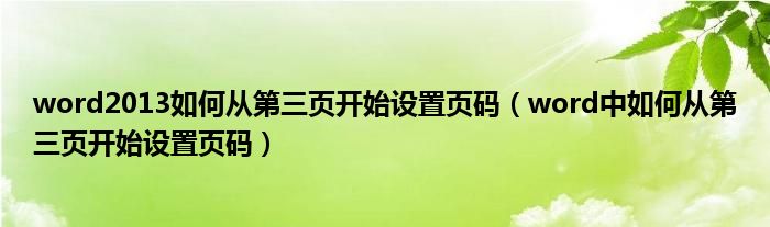 word2013如何从第三页开始设置页码（word中如何从第三页开始设置页码）