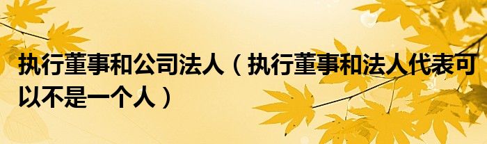 执行董事和公司法人（执行董事和法人代表可以不是一个人）