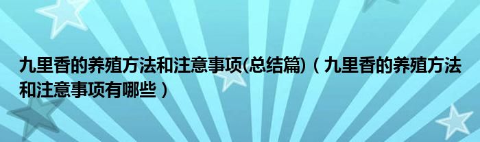 九里香的养殖方法和注意事项(总结篇)（九里香的养殖方法和注意事项有哪些）