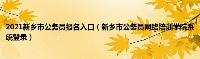 2021新乡市公务员报名入口（新乡市公务员网络培训学院系统登录）