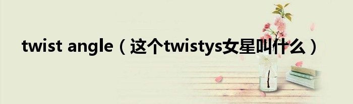 twist angle（这个twistys女星叫什么）