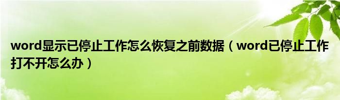 word显示已停止工作怎么恢复之前数据（word已停止工作打不开怎么办）