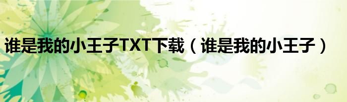 谁是我的小王子TXT下载（谁是我的小王子）