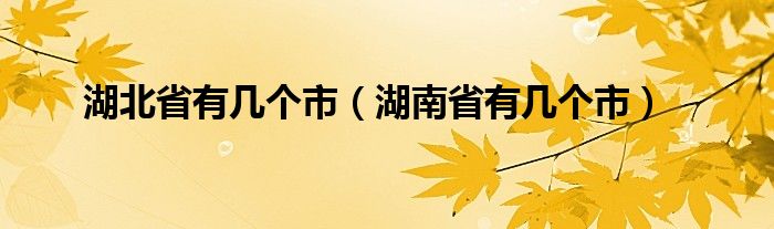 湖北省有几个市（湖南省有几个市）