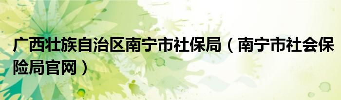 广西壮族自治区南宁市社保局（南宁市社会保险局官网）