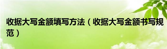 收据大写金额填写方法（收据大写金额书写规范）