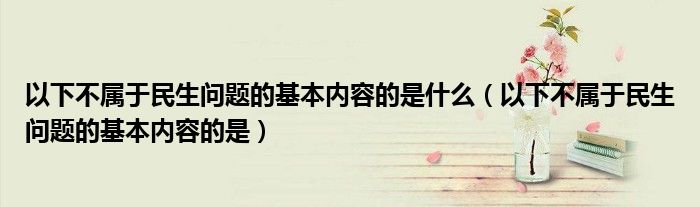 以下不属于民生问题的基本内容的是什么（以下不属于民生问题的基本内容的是）