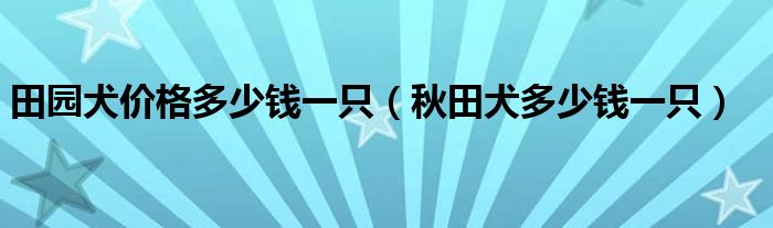 田园犬价格多少钱一只（秋田犬多少钱一只）