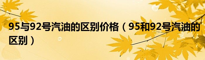 95与92号汽油的区别价格（95和92号汽油的区别）