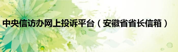 中央信访办网上投诉平台（安徽省省长信箱）