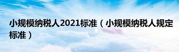 小规模纳税人2021标准（小规模纳税人规定标准）