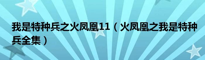 我是特种兵之火凤凰11（火凤凰之我是特种兵全集）