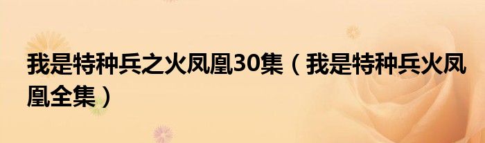 我是特种兵之火凤凰30集（我是特种兵火凤凰全集）