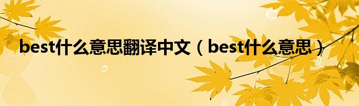 best什么意思翻译中文（best什么意思）