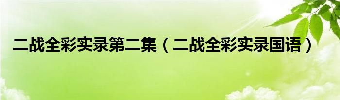 二战全彩实录第二集（二战全彩实录国语）